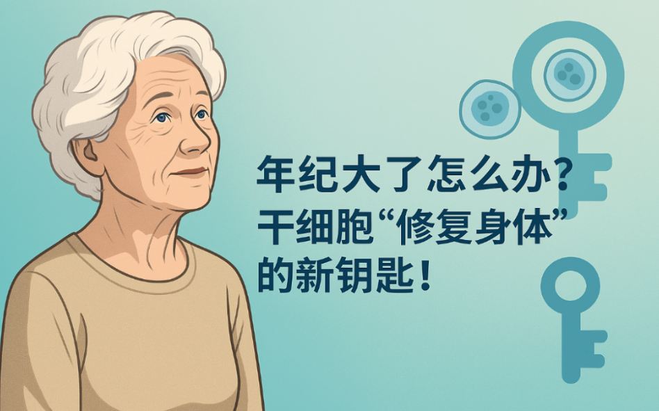 屏幕截图 2025-12-04 141451.png