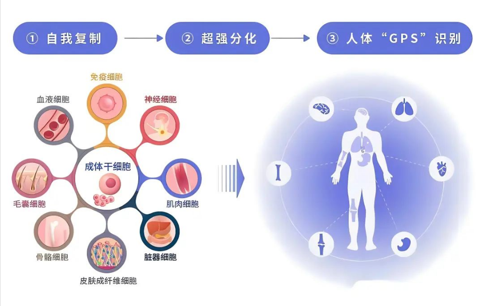 屏幕截图 2025-12-04 141516.png