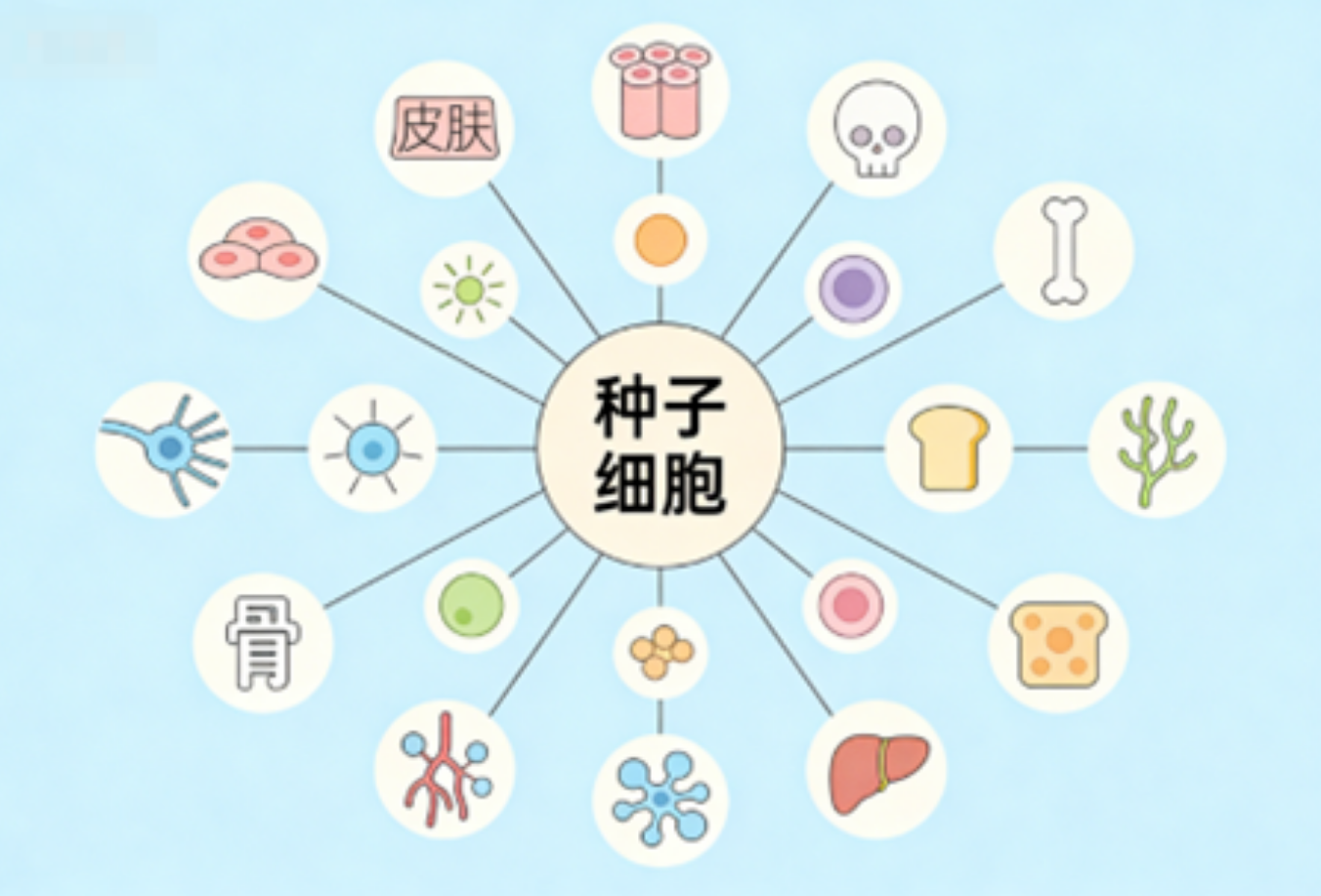 屏幕截图 2026-05-25 134210.png